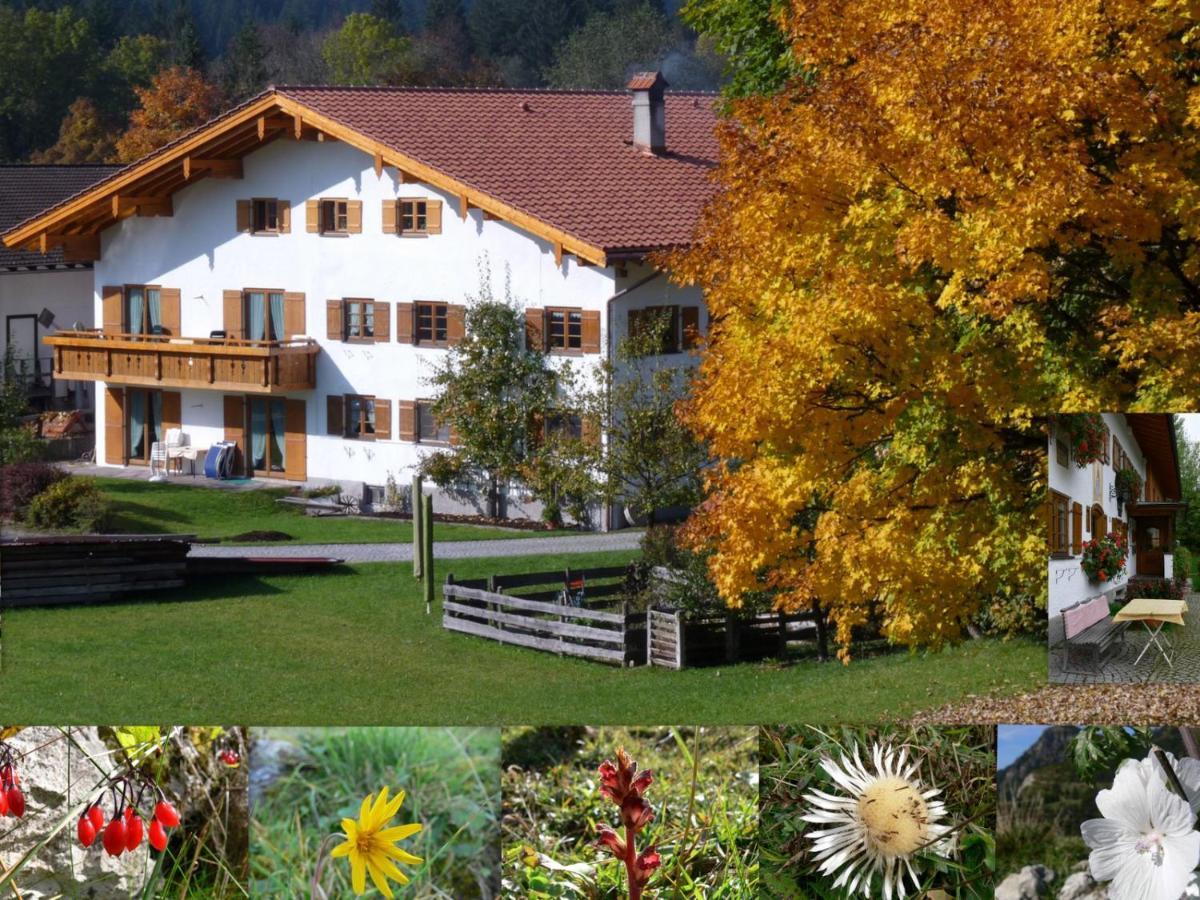 Ferienwohnungen Hennenmuehle Bad Hindelang Bagian luar foto